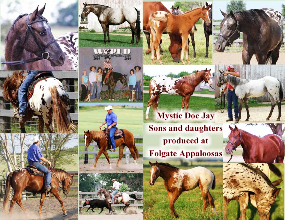 Mystic Doc Jay