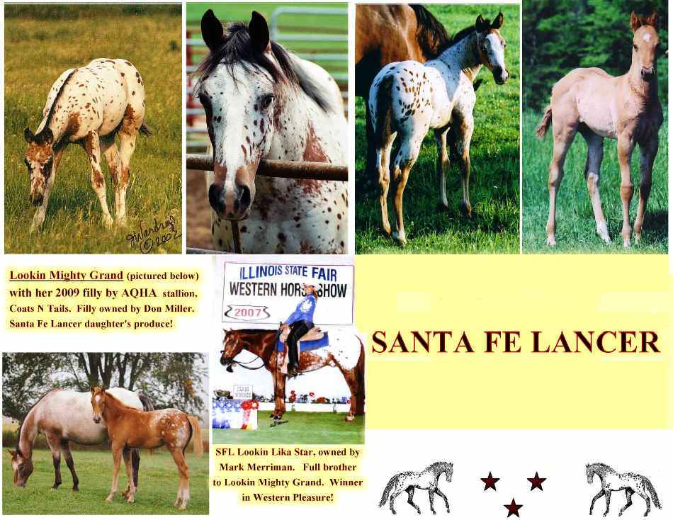 Santa Fe Lancer